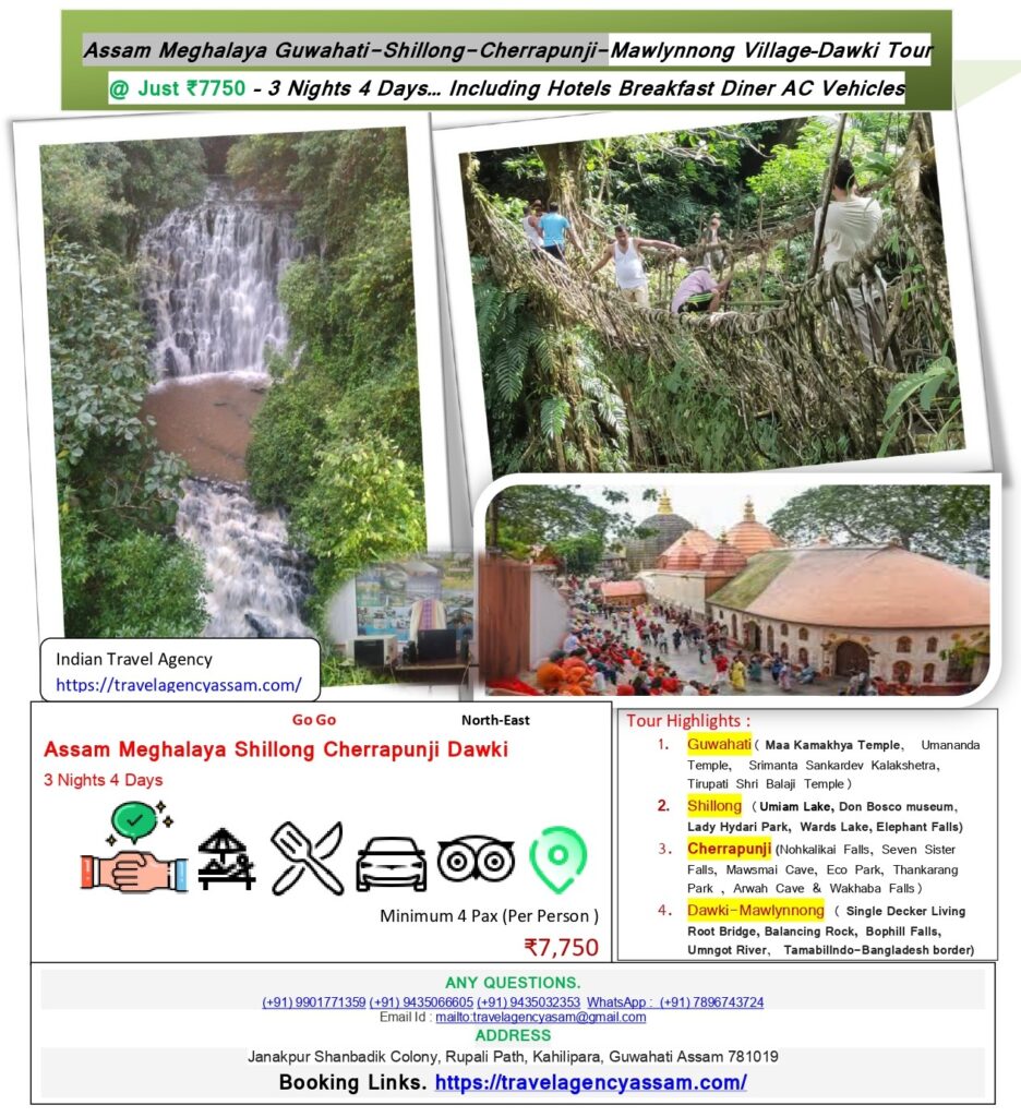 Travel Agency Assam